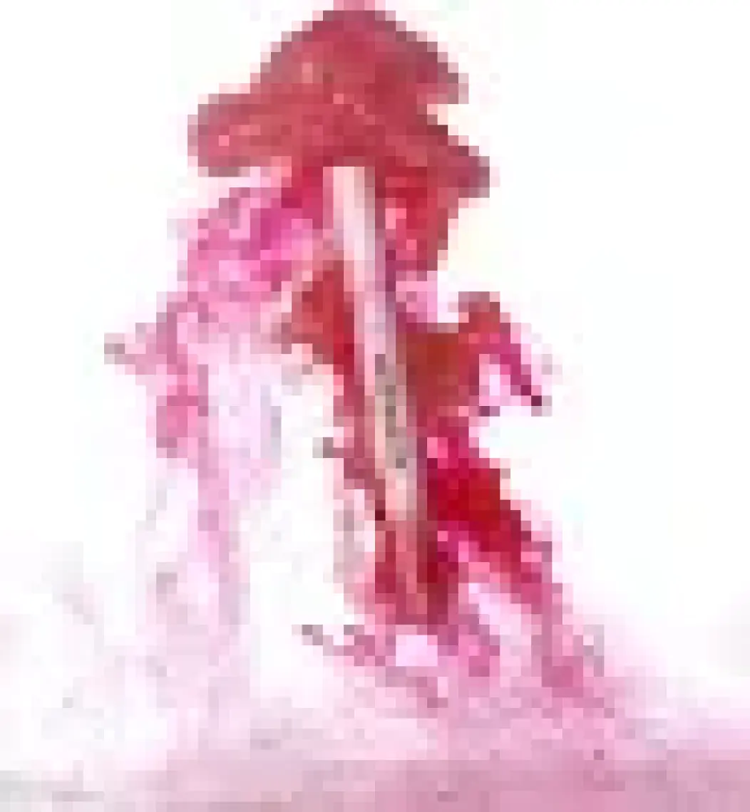 Unleashia Hug Velvet Tint No:3 Share, Vegan Mat Ruj