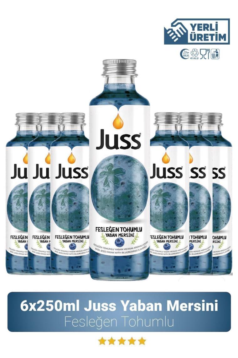 Juss Yaban Mersini Fesleğen Tohumlu Meyve Suyu 6x250 ml