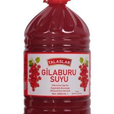 Gilaburu Suyu Nektarı 5 LİTRE