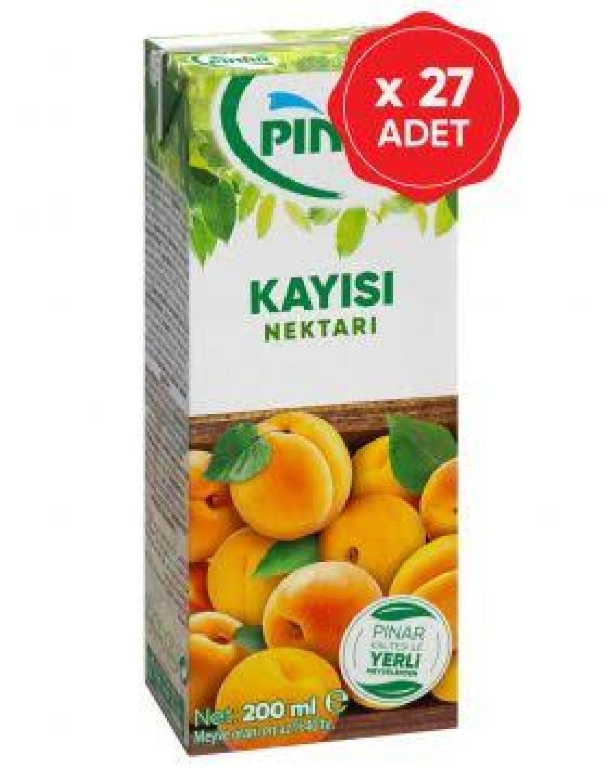Pınar Meyve Nektarı Kayısı 200 ml x 27 Adet