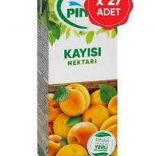 Pınar Meyve Nektarı Kayısı 200 ml x 27 Adet