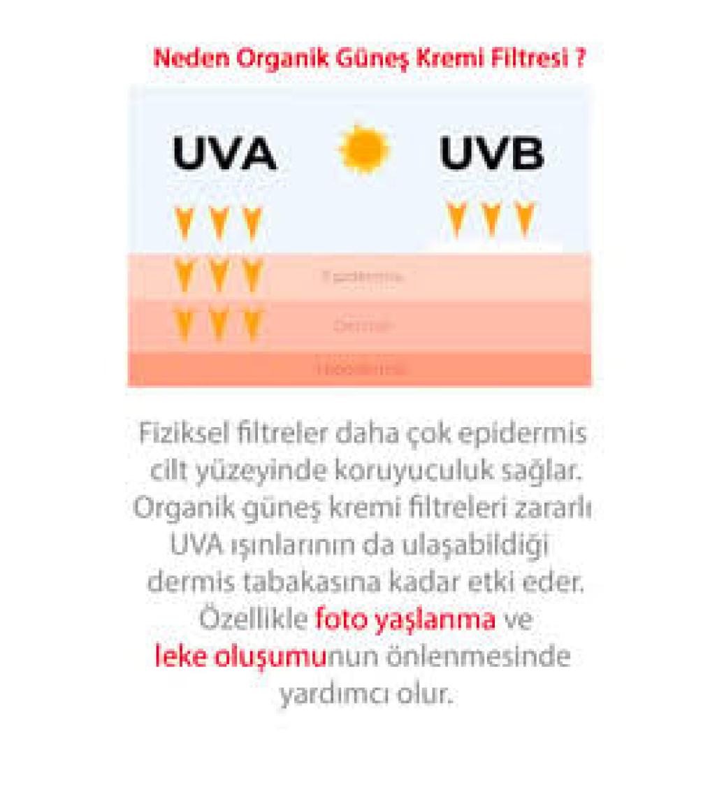 Quality Life Ql Yüz Güneş Kremi Su Bazlı Leke Karşıtı 50+ Spf Hyaluronik Asit ve Collagen 50 ml Uva + Uvb Çok Yüksek Koruma 50 Faktör