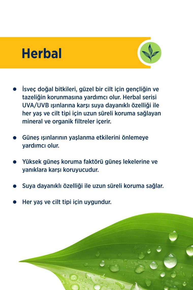 Celenes By Sweden Herbal Dry Touch SPF 50 Mat Bitişli Renkli Güneş Kremi - Yüz Ve Dekolte Bölgesi 50 ml
