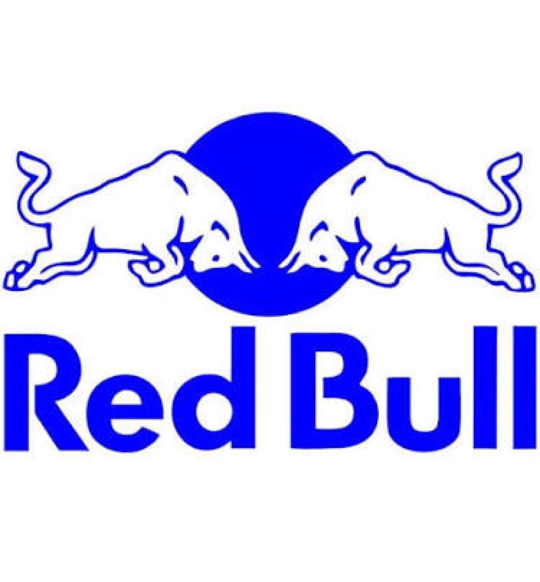 Red Bull Enerji İçeceği 250 ml