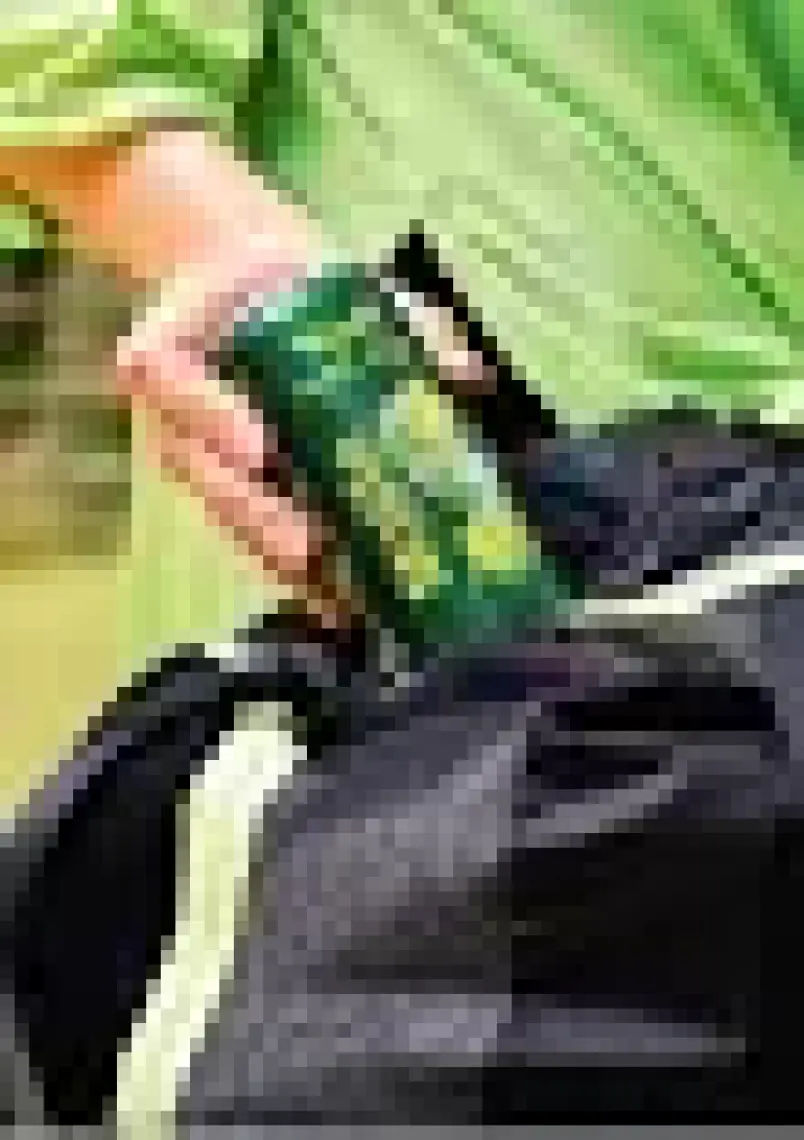 Max Fly Mojito Enerji Içeceği 250 ml 12 Adet