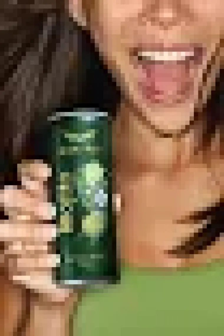 Max Fly Mojito Enerji Içeceği 250 ml 12 Adet