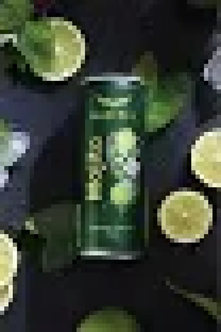 Max Fly Mojito Enerji Içeceği 250 ml 12 Adet