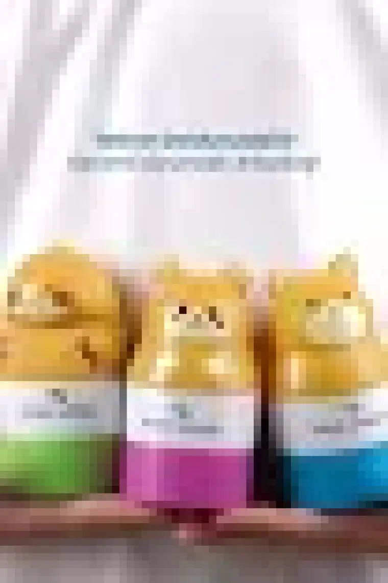 Bade Natural Güneş Koruyucu Losyon Aplikatörü Kedi Figürlü Doldurulabilir Roll On 110 ml