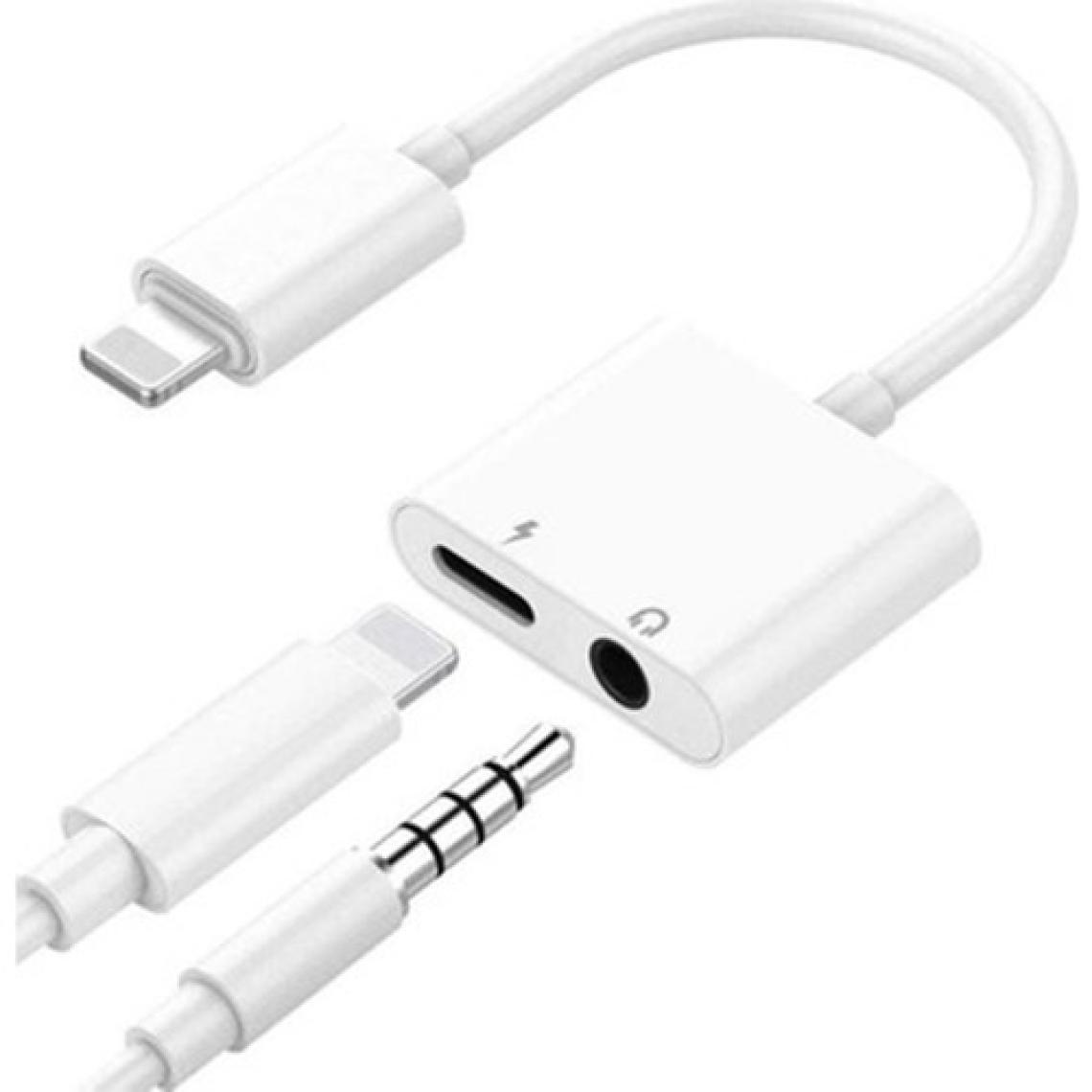 PolyGold Ios iPhone Uyumlu Lightning 2 In 1 Şarj ve Aux Kulaklık Dönüştürücü Aparat