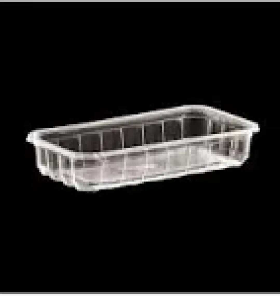 Pack Plastik Şarküteri Kasesi 500 gr 100'lü