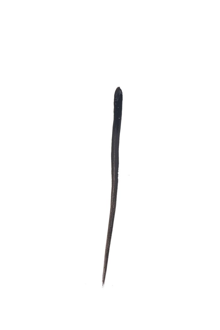 Siyah Eyeliner - Perfect Lashes Black Eyeliner 8691190066673