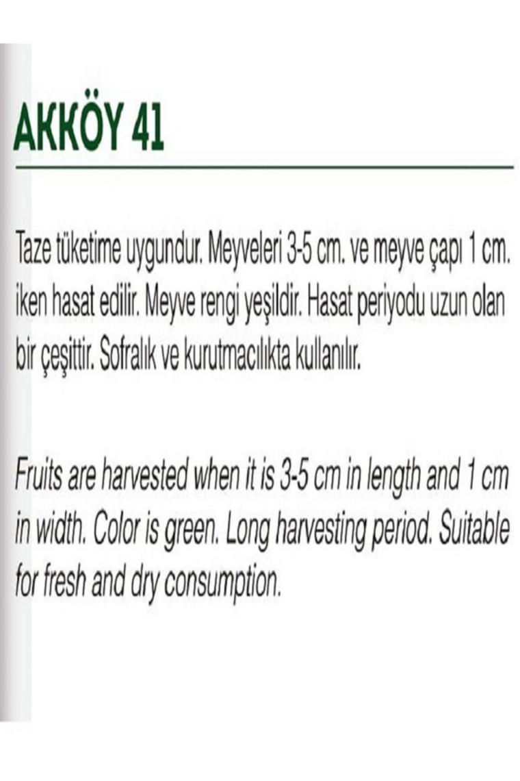 Ata Tohumu Yerli Bamya 100 Adet Doğal Tohum