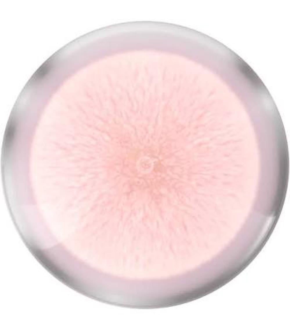 Instant Perfector Glow 4 Etki 1 Arada Fondöten / BB & CC Krem - 01 Light