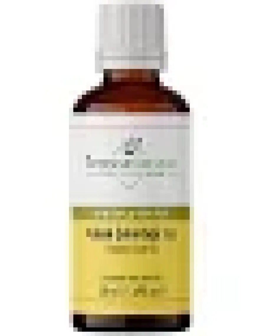 Intense Natural Kabak Çekirdeği Yağı Soğuk Sıkım 50 ml Pumpkin Seed Oil