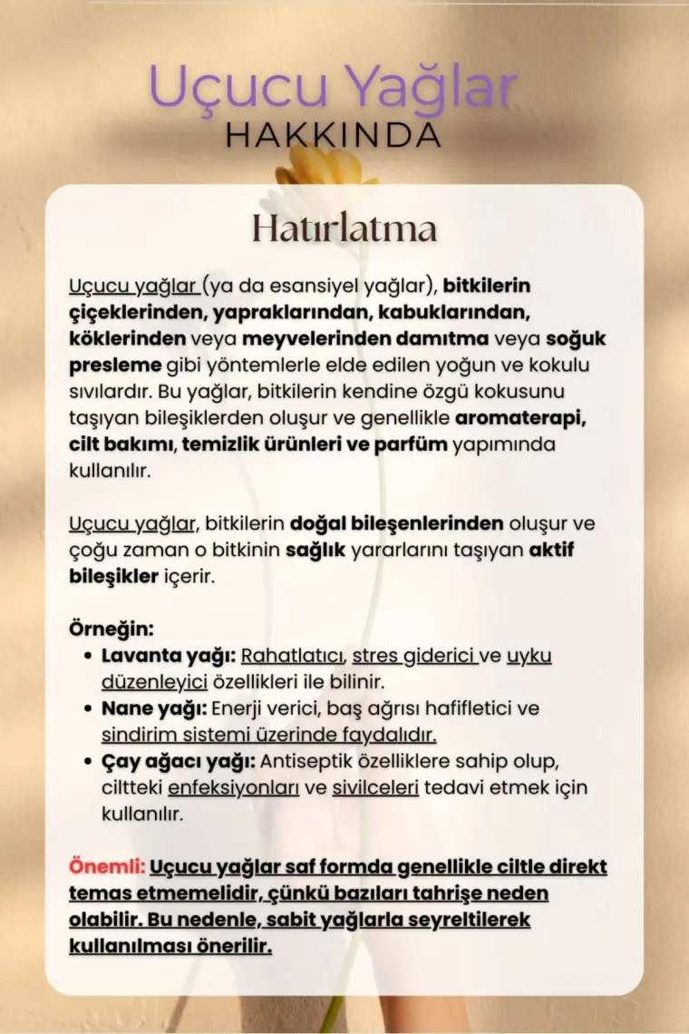 Intense Natural Kekik Uçucu Yağı 10 ml %100 Saf ve Doğal Esansiyel Aromaterapi Oregano Thyme Essential Oil
