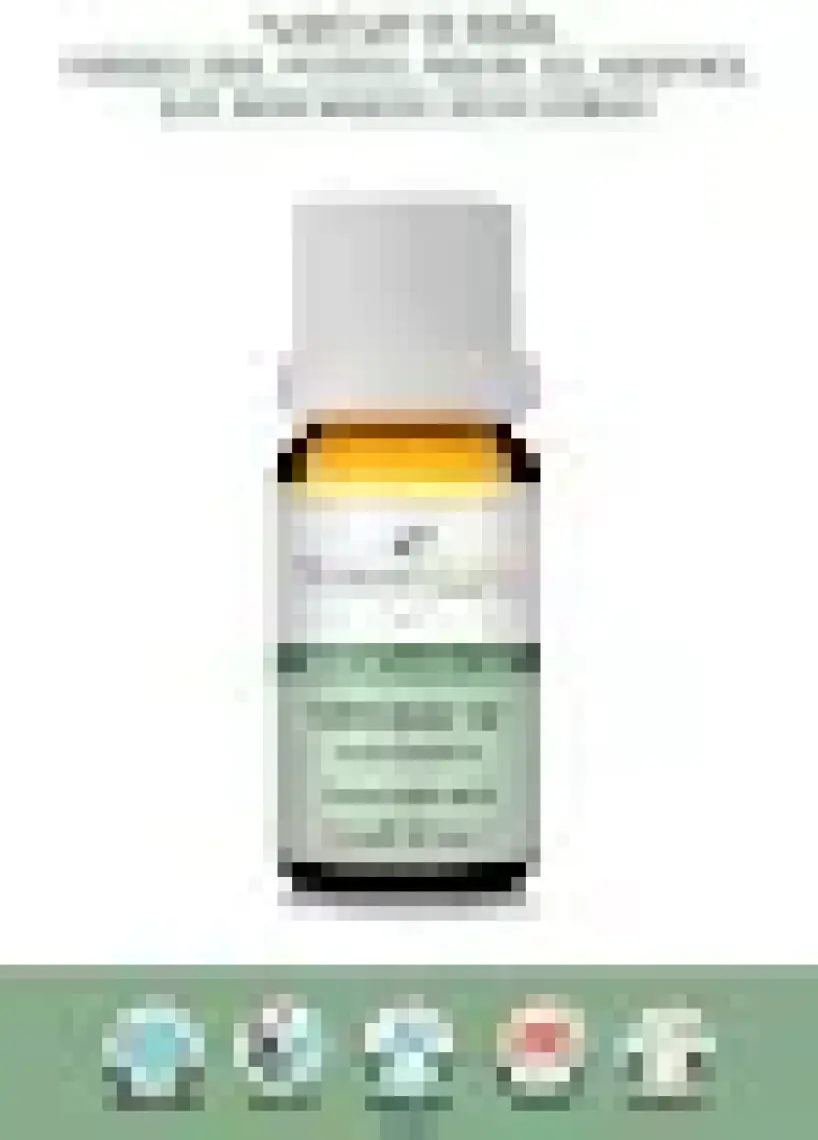 Intense Natural Kekik Uçucu Yağı 10 ml %100 Saf ve Doğal Esansiyel Aromaterapi Oregano Thyme Essential Oil