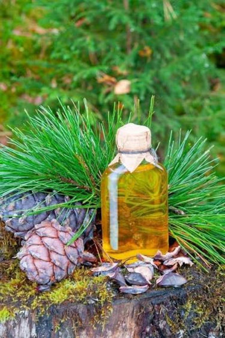 Çam Terebentin Uçucu Yağı 50 ml %100 Saf ve Doğal Pine Turpentine Essential Oil