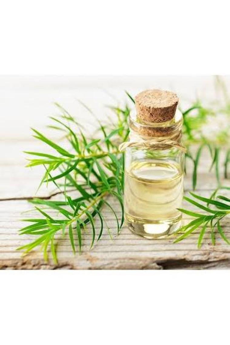 Balen Çay Ağacı Yağı 20 ml (%100 Saf Bitkisel Uçucu Yağ)