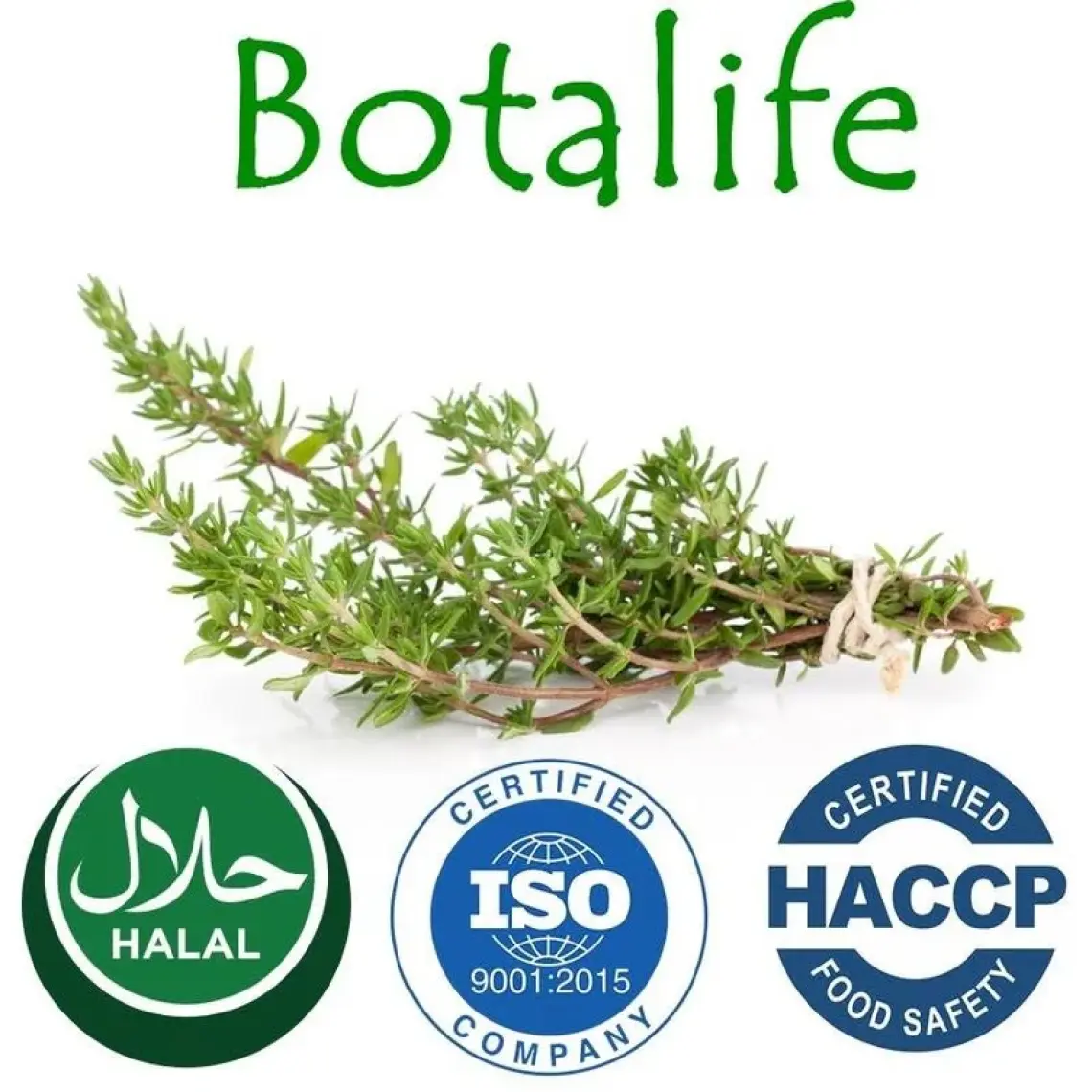 Botalife Çam Terebentin Yağı 250 ml