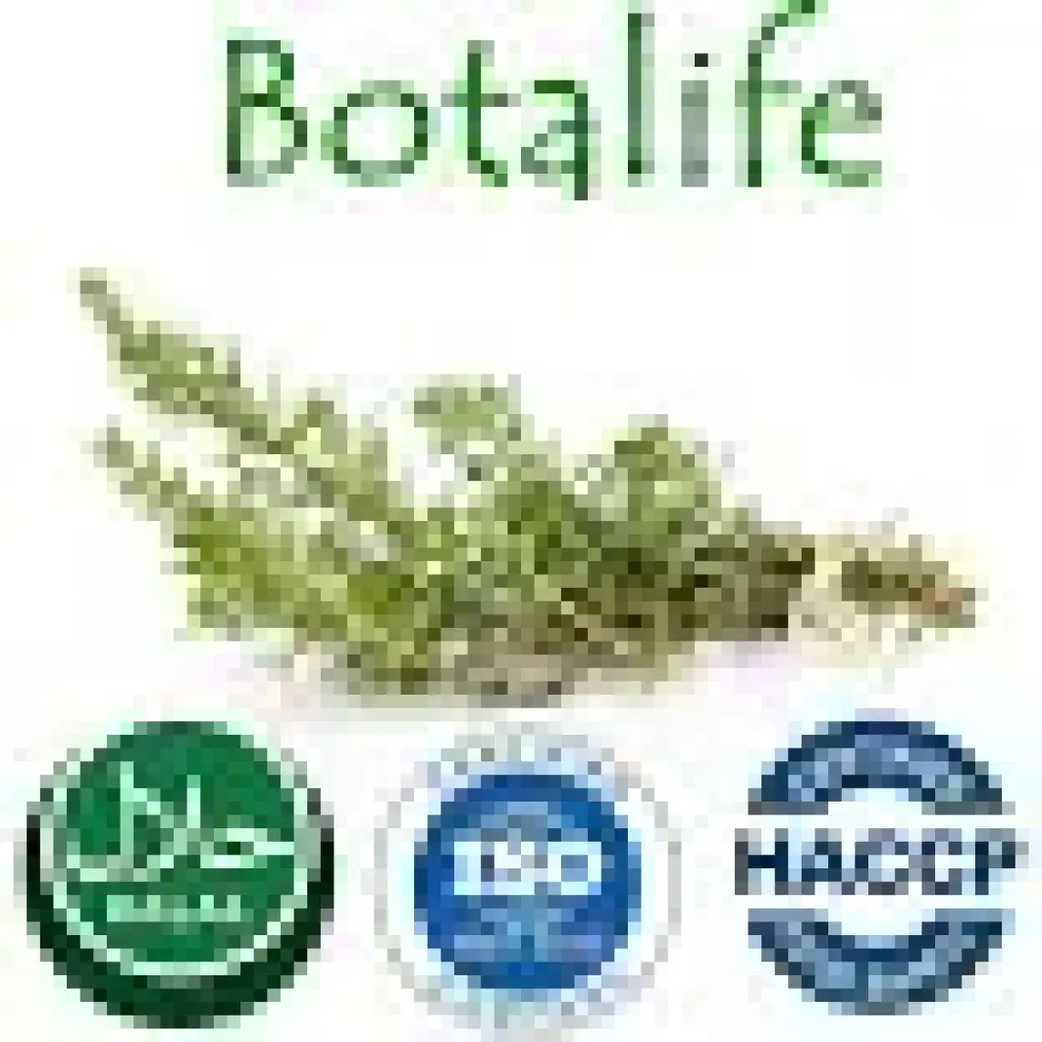 Botalife Çam Terebentin Yağı 250 ml