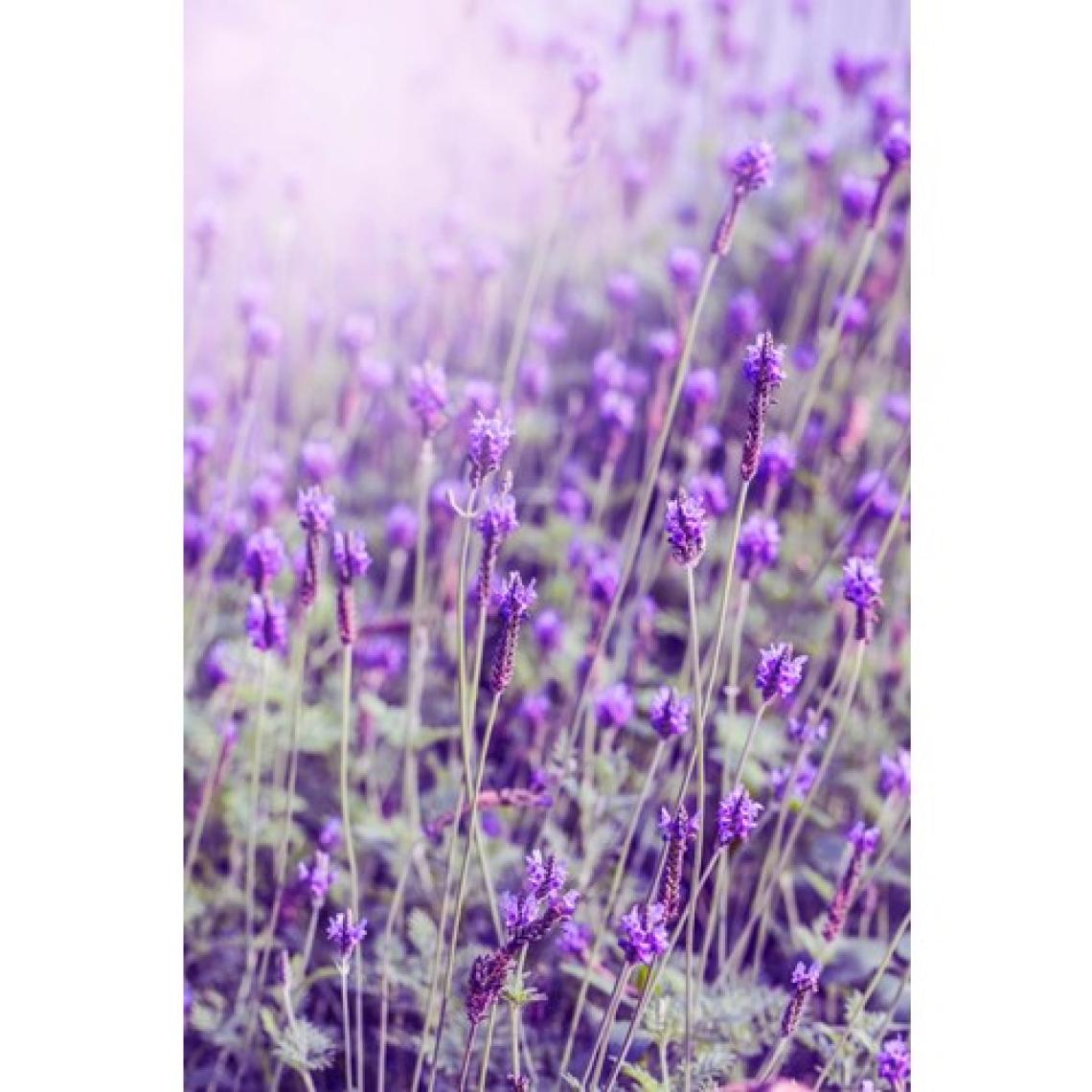 Intense Natural Lavanta Uçucu Yağı 10 ml %100 Saf Ve Doğal Lavender Essential Oil