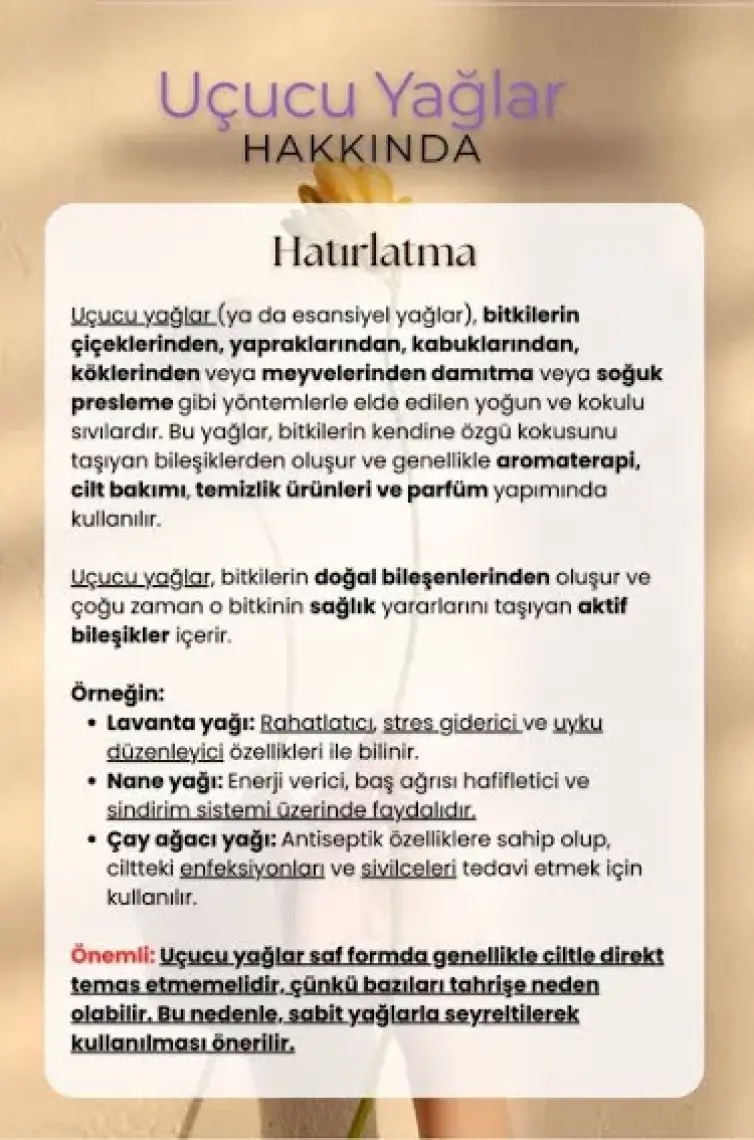 Intense Natural Sedir Ağacı Uçucu Yağı 10 ml %100 Saf ve Doğal Cedarwood Essential Oil