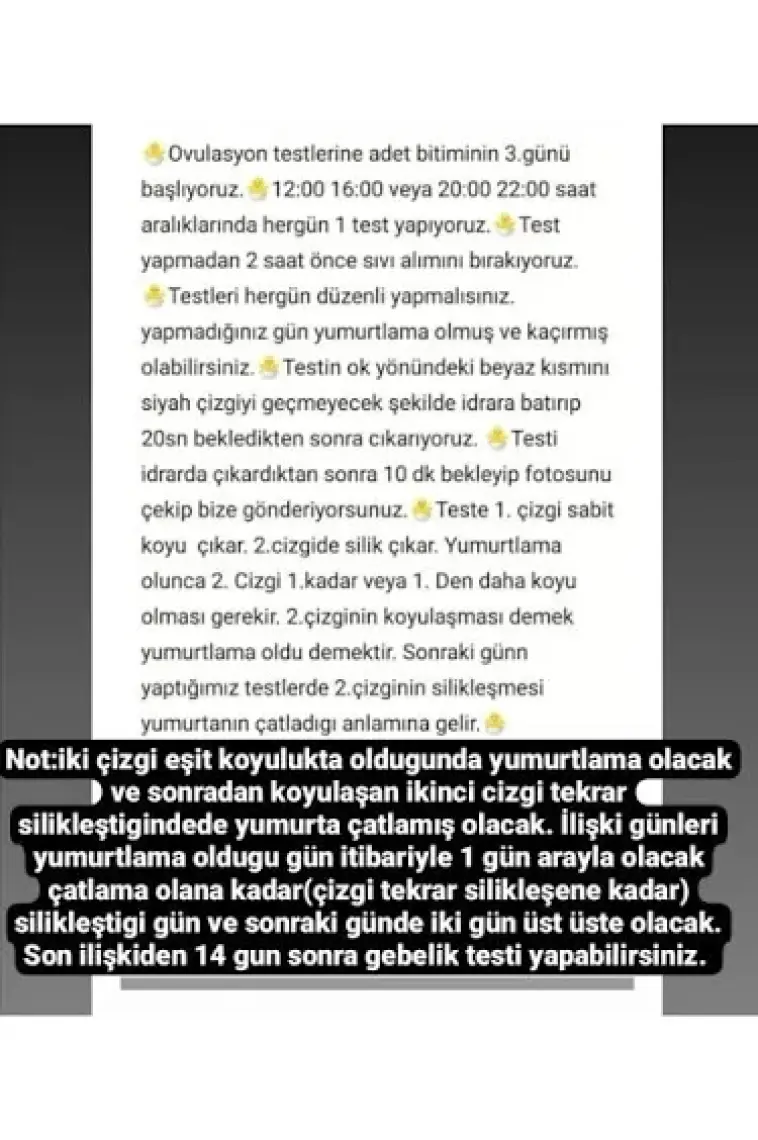 Babyfast 20 Adet Ovulasyon 2 Adet Gebelik Hijyenik Strip Test OVULASYON20