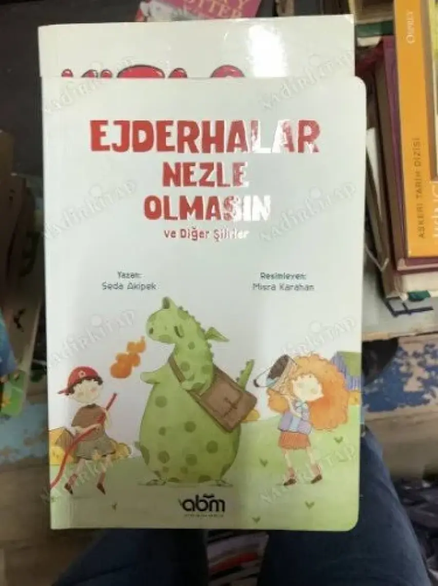 Ejderhalar Nezle Olmasın ve Diğer Şiirler - Seda Akipek