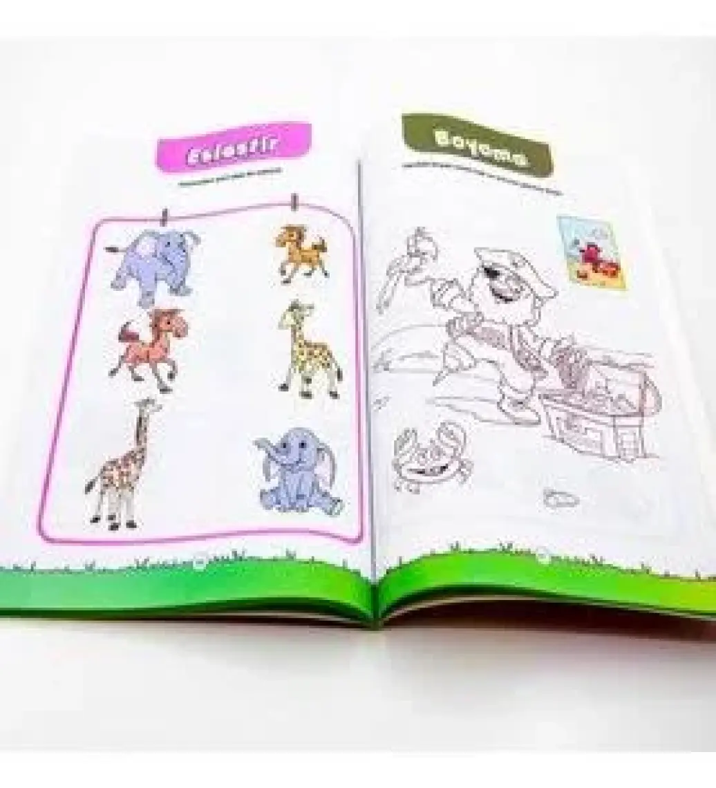 Eğlenceli Aktivite Kitabı 1 Okul Öncesi Zeka Gelişimi