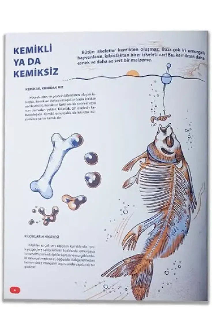 Bu İskelet Kimin? (Ciltli) - Henry Cap