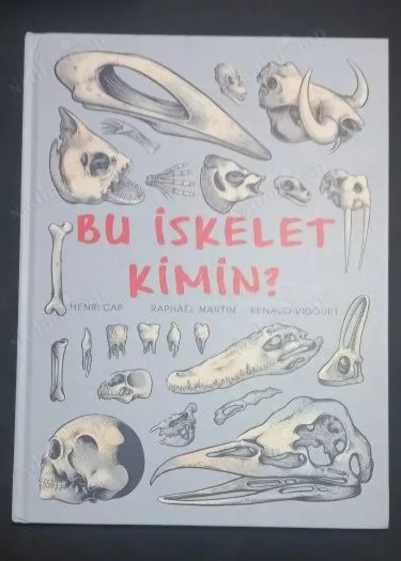 Bu İskelet Kimin? (Ciltli) - Henry Cap