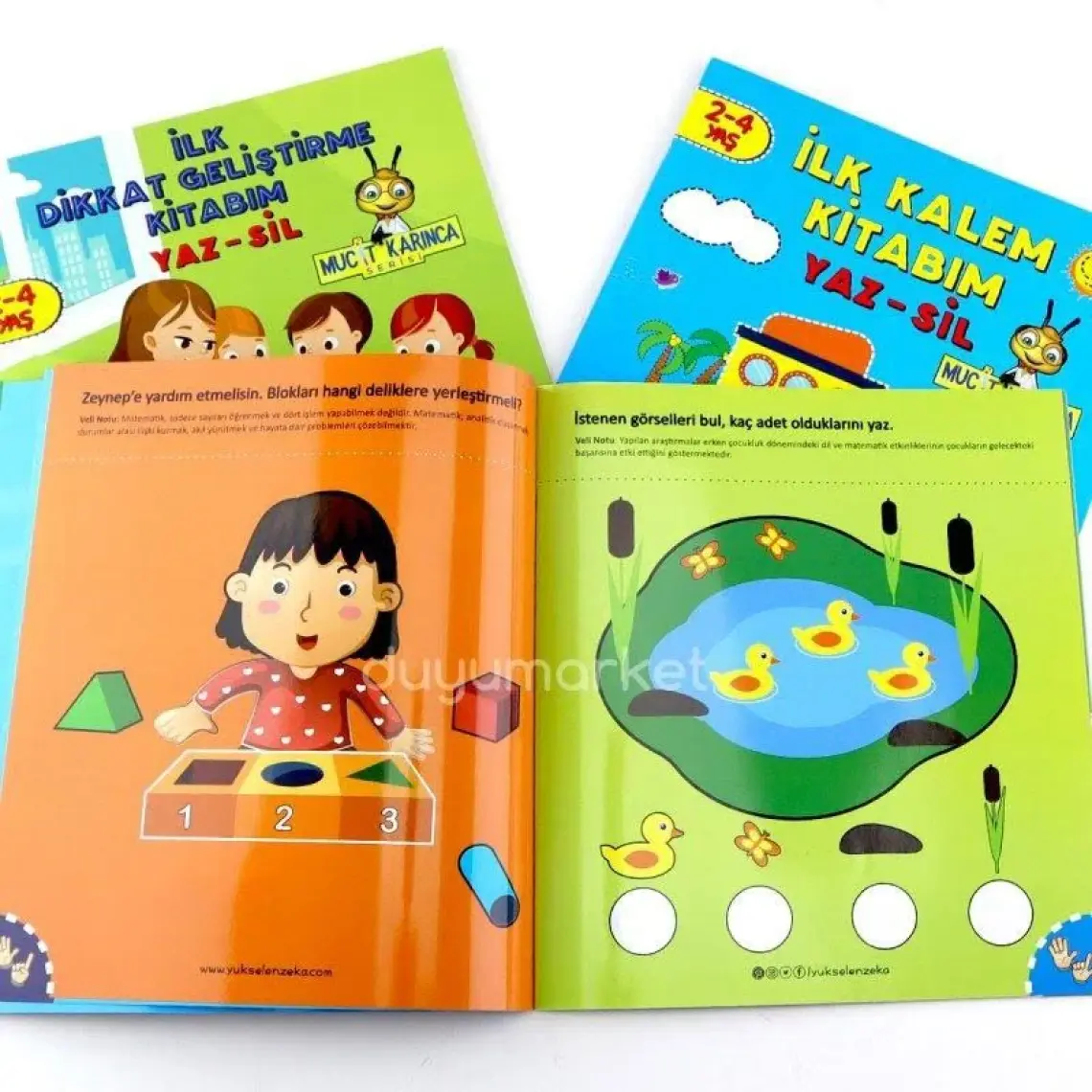 2-4 Yaş Evde Etkinlik Seti - Mucit Karınca Serisi Yaz-Sil Kitaplar