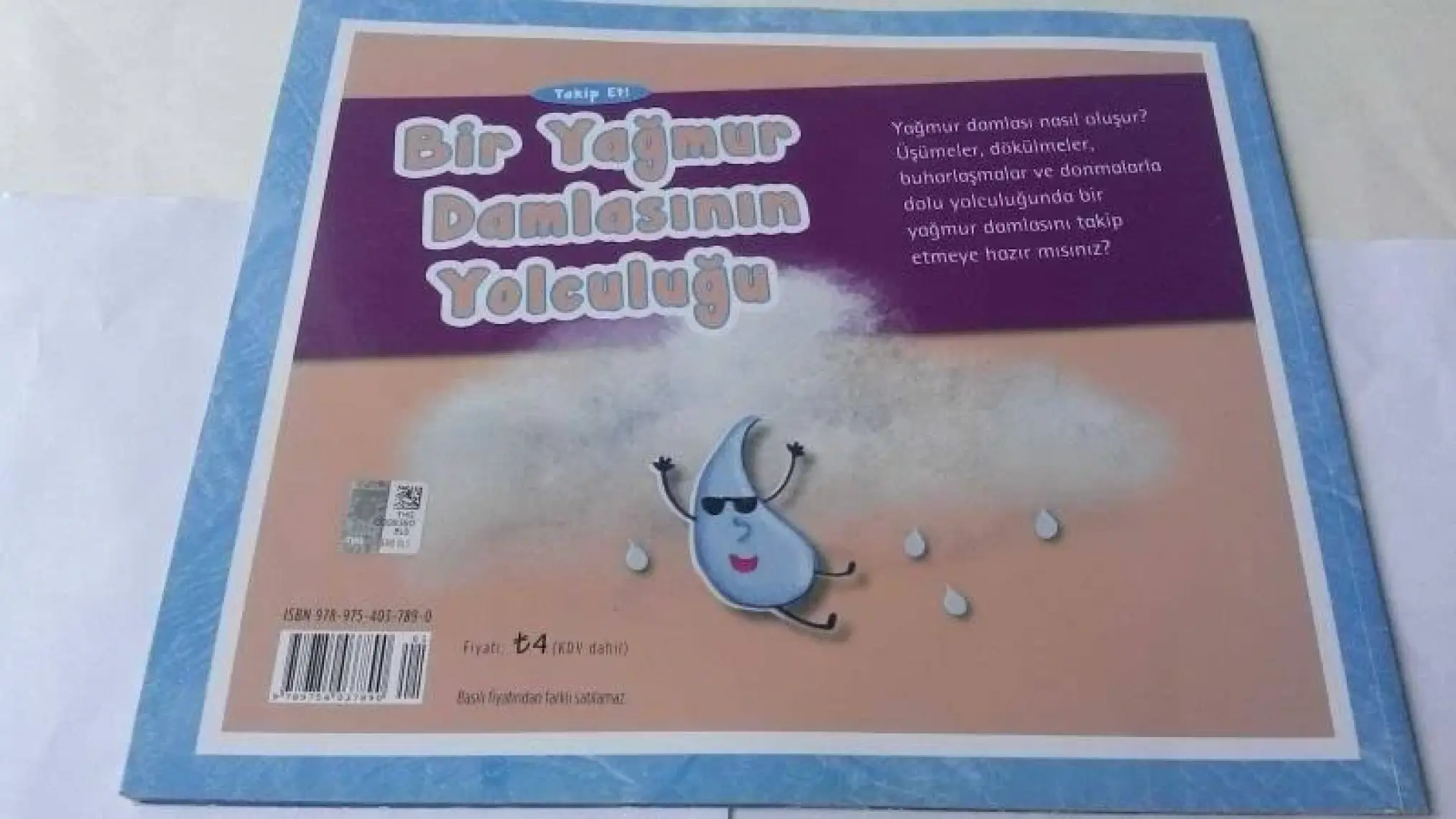 Bir Yağmur Damlasının Yolculuğu - Suzanne Slade