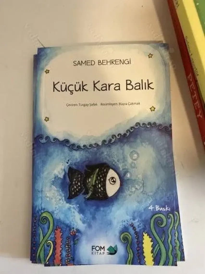 Küçük Kara Balık - Samed Behrengi