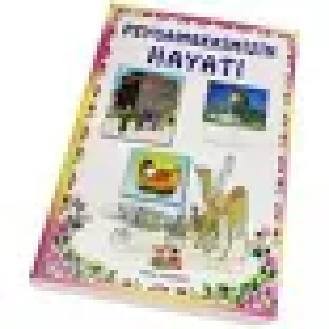 Peygamberimizin Hayatı 1-2 (Orta Boy)