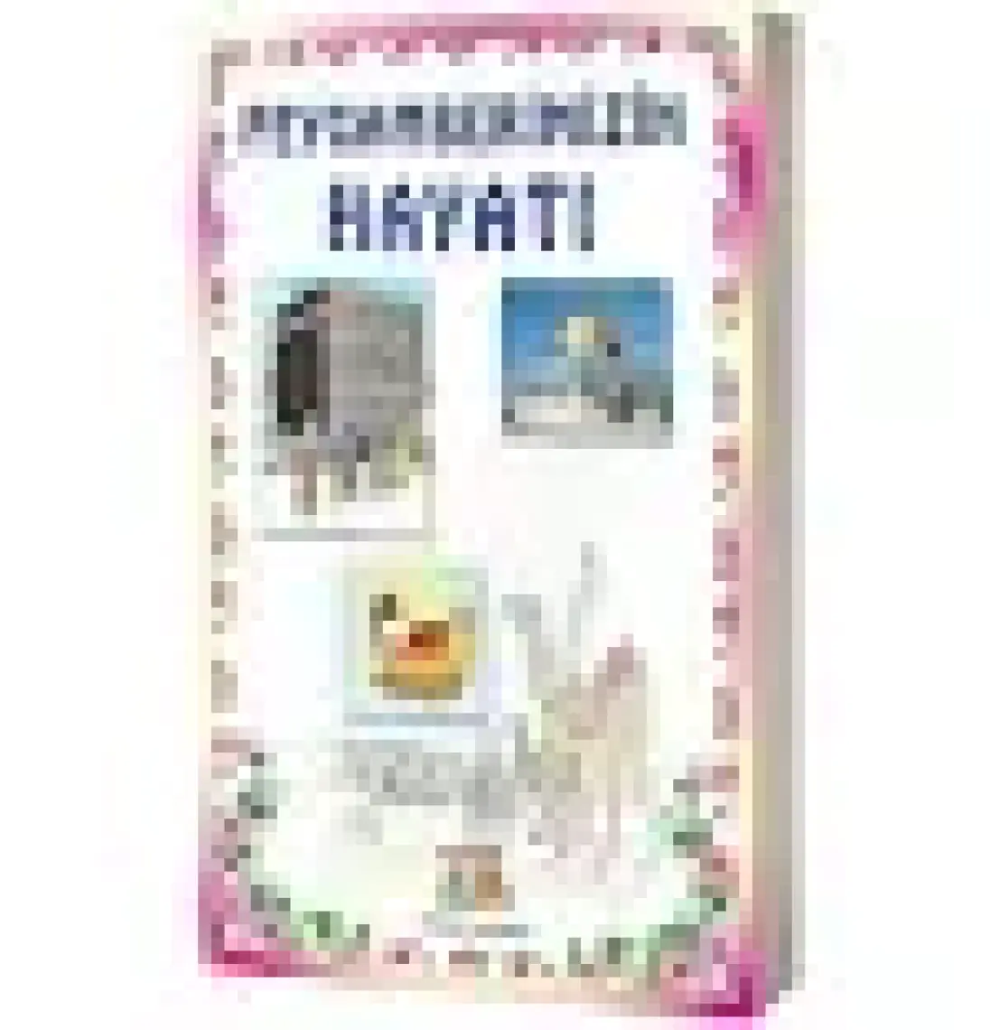 Peygamberimizin Hayatı 1-2 (Orta Boy)