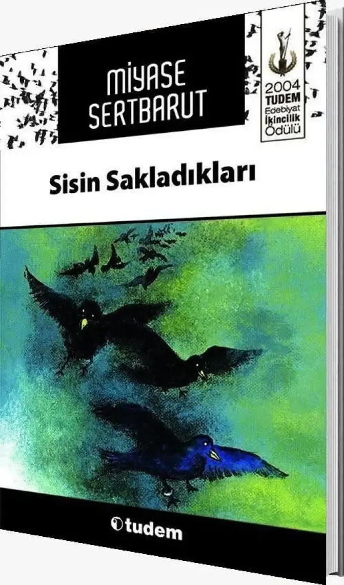 Sisin Sakladıkları - (12 Yaş Üstü) - Miyase Sertbarut