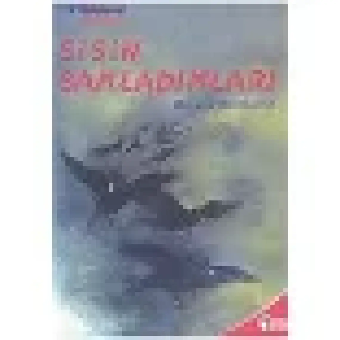 Sisin Sakladıkları - (12 Yaş Üstü) - Miyase Sertbarut