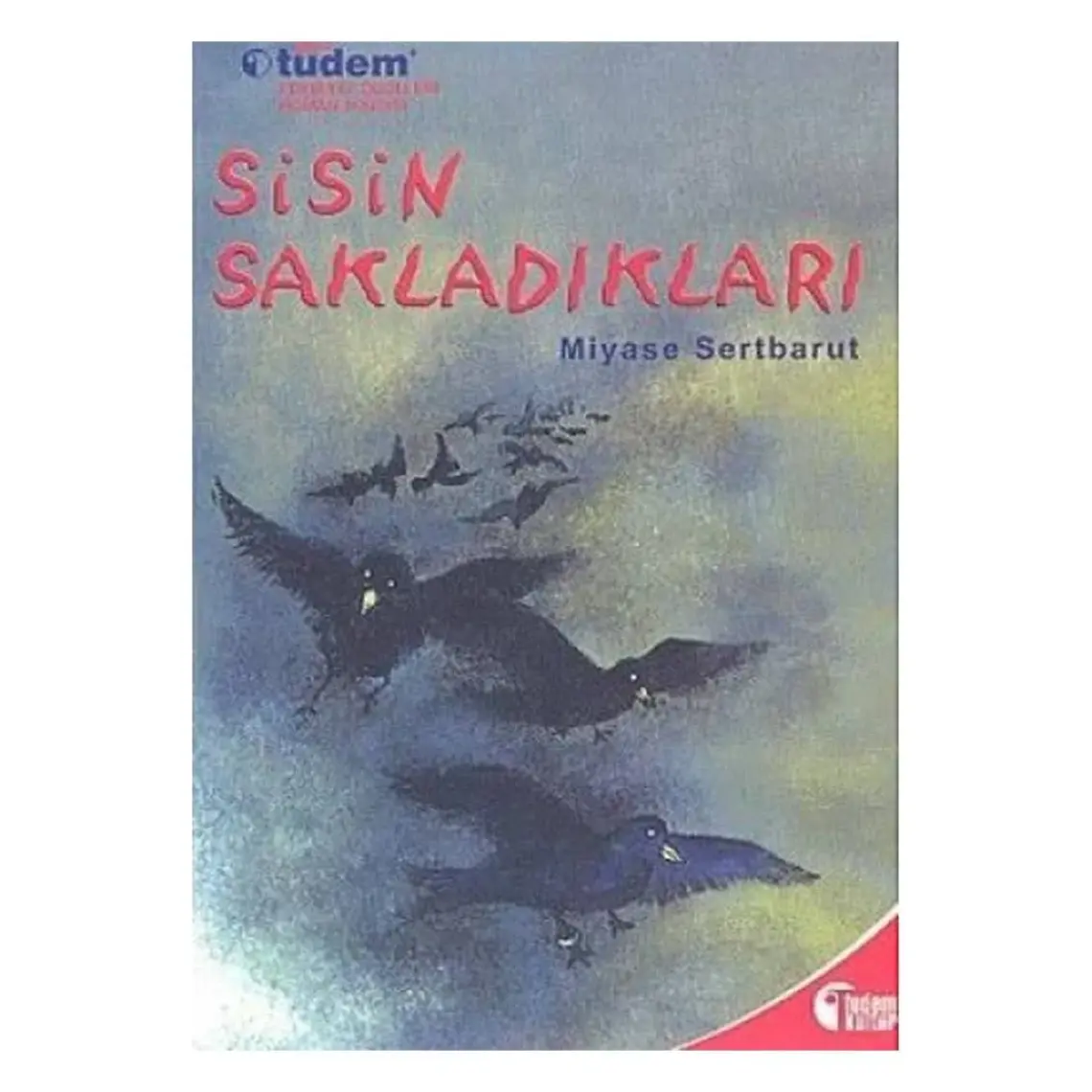 Sisin Sakladıkları - (12 Yaş Üstü) - Miyase Sertbarut