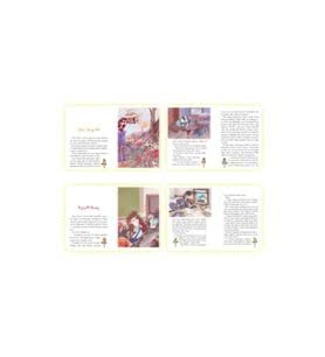 Gizemli Bahçe Yayınları 2.Sınıflar İÇin Aslan Kula'Nın Ormanı 10 Kitap