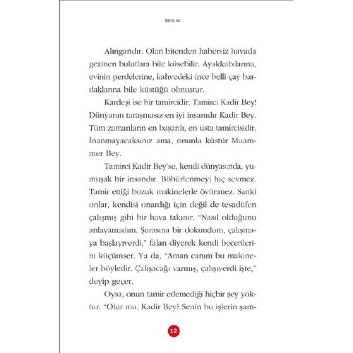 Güneşi Bile Tamir Eden Adam - Behiç Ak