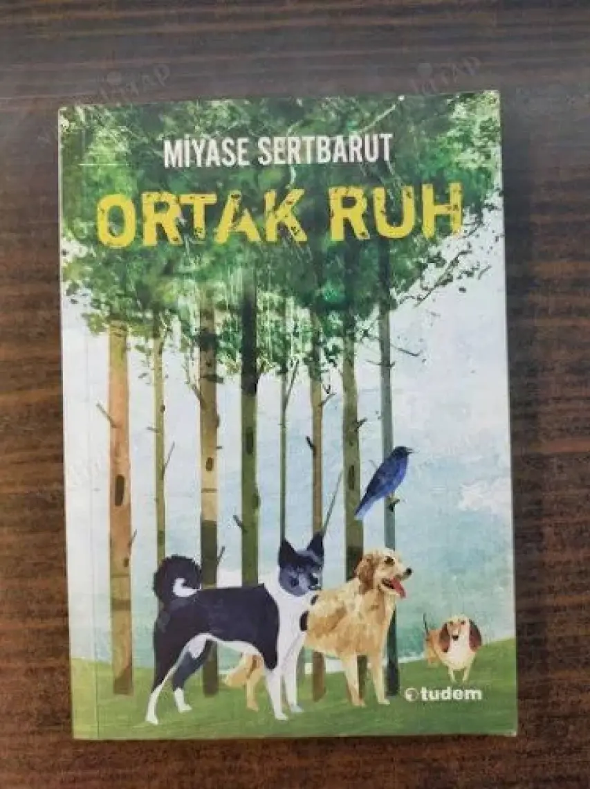 Ortak Ruh - Miyase Sertbarut
