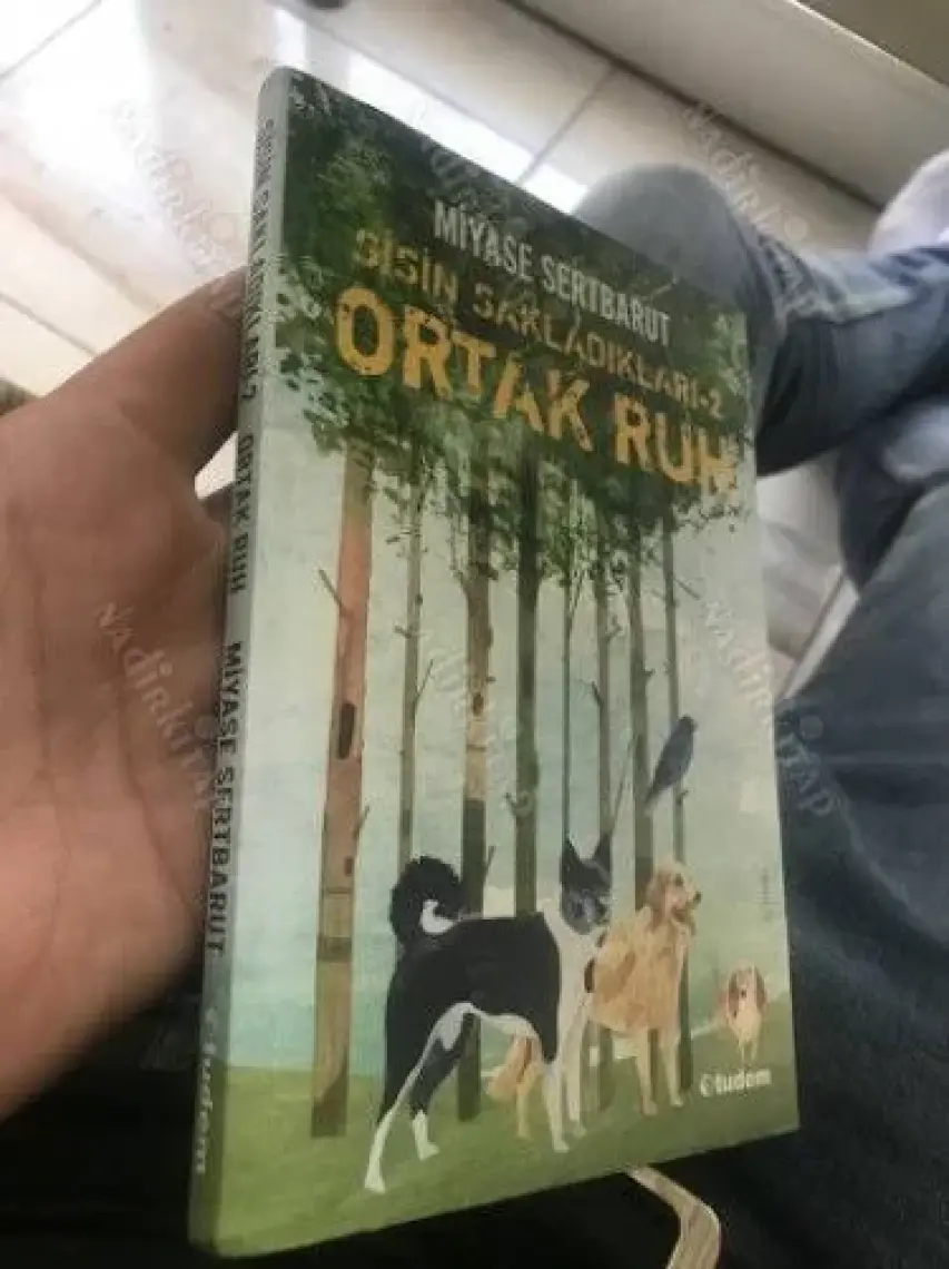 Ortak Ruh - Miyase Sertbarut