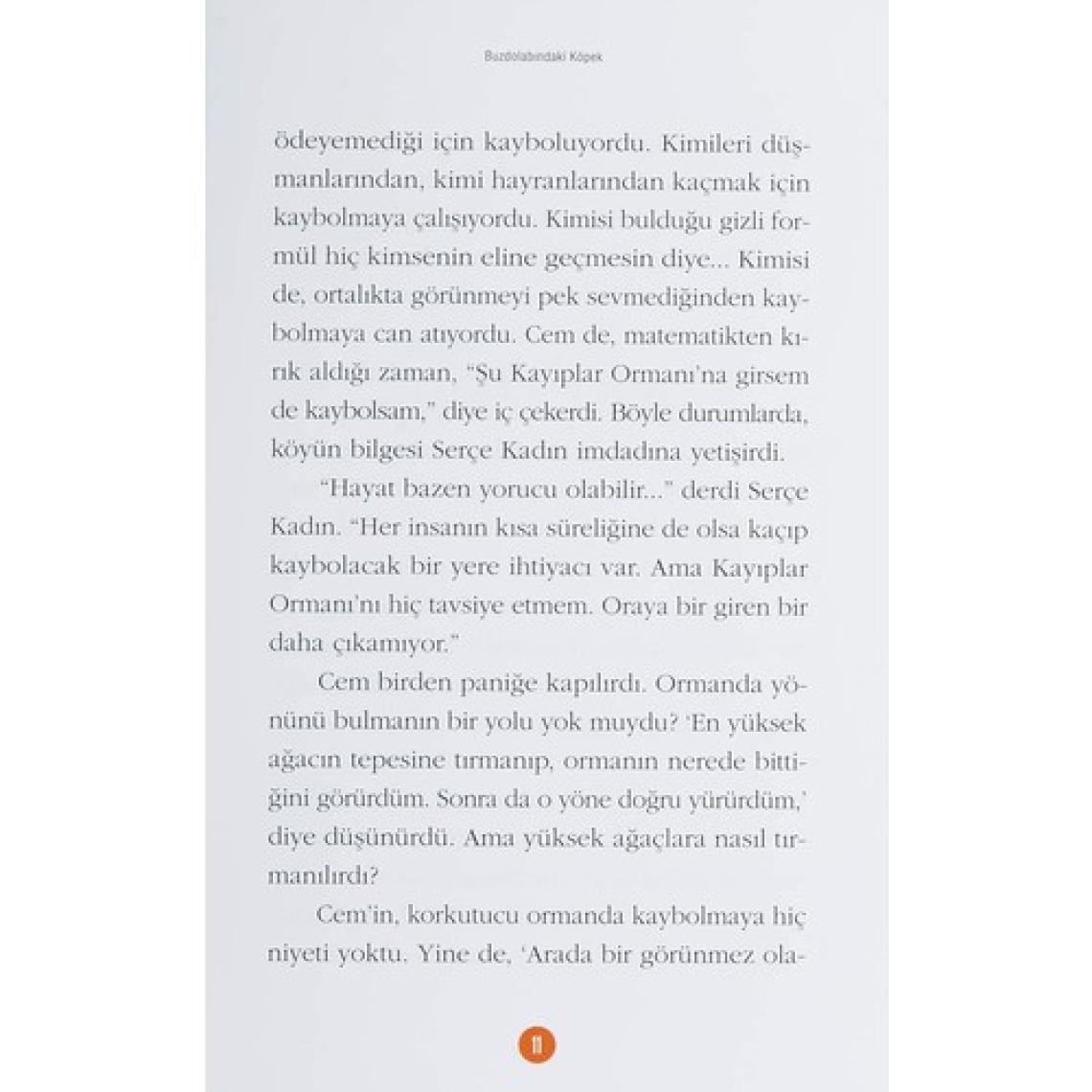 Buzdolabindaki Köpek - Behiç Ak