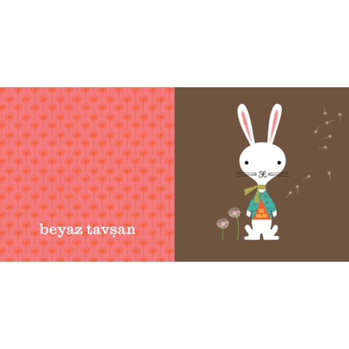 Bebebiyat - Alice Harikalar Diyarında - Jennifer Adams