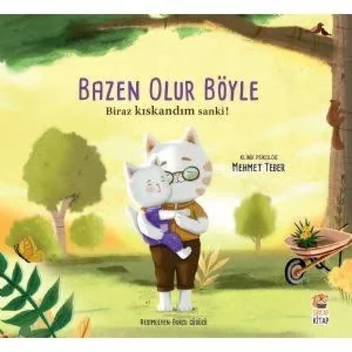 Bazen Olur Böyle-Biraz Üzüldüm Sanki -  Mehmet Teber