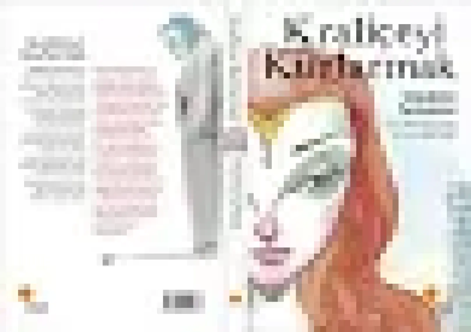 Kraliçeyi Kurtarmak - Vladimir Tumanov