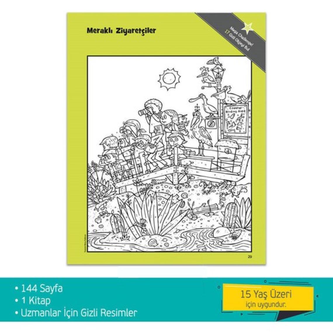 Uzmanlar İçin Hidden Pictures - Su Eğlencesi Puzzle