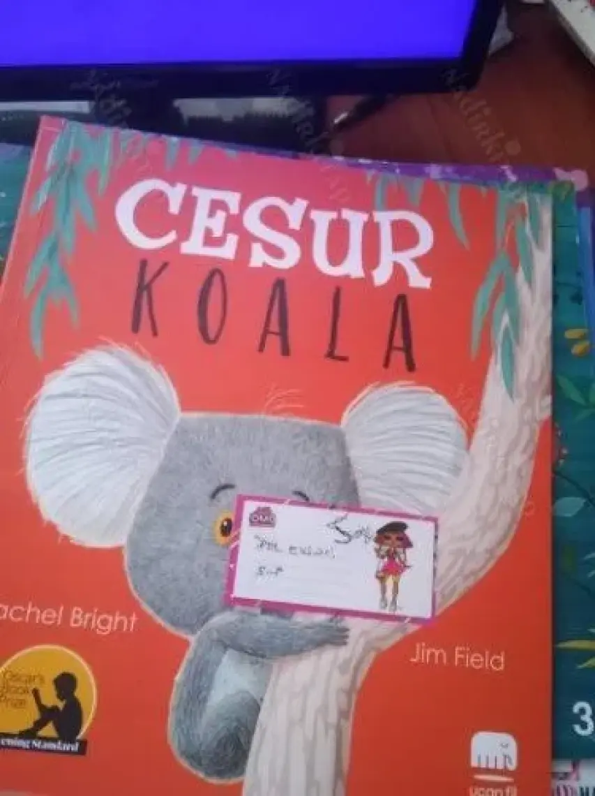Uçan Fil Yayınları Cesur Koala - Rachel Bright - Jim Field