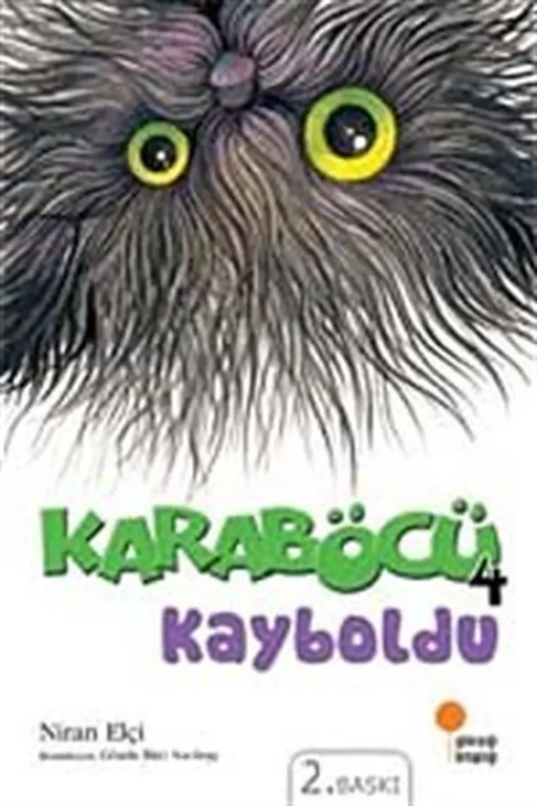 Karaböcü Kayboldu - Niran Elçi